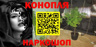 крисы Краснознаменск