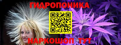 крисы Краснознаменск