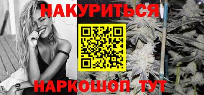 крисы Краснознаменск