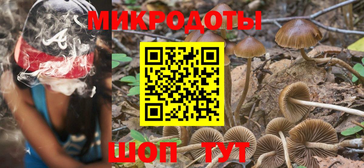 Владикавказ  Галлюциногенные грибы Cubensis  Псилоцибиновые грибы Psilocybine cubensis  Вход с VPN 